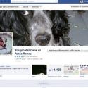 Pagina Facebook